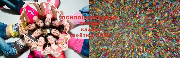 jwh Каменск-Шахтинский