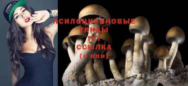 кокаин премиум Каменка