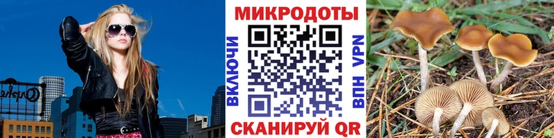 Галлюциногенные грибы Magic Shrooms  мега ССЫЛКА  Шарья 