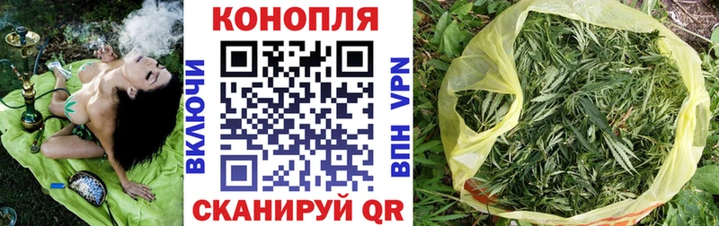 Канабис OG Kush  darknet телеграм  Шарья 